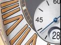watchwatch-276-68-8/421