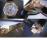 watch-47450/000R-9404