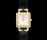 天梭-T-Gold-T71.3.319.36