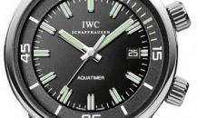 watch-IW323101