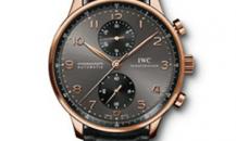 watchwatch-IW371482