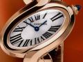 卡地亞-DELICES DE CARTIER-W8100003