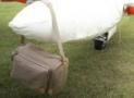 Bag-HD Pic