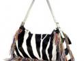 Bag-HD Pic