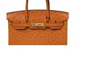 Bag-HD Pic
