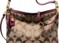 Bag-HD Pic