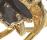 jewelry  accessories