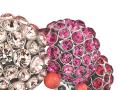 SWAROVSKI  RAPHAELA手鐲 - 施華洛世奇