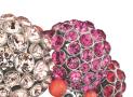 jewelry  accessories