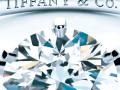 Tiffany Setting 鉑金訂婚鉆戒 - 蒂芙尼