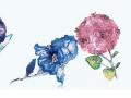 蒂芙尼花型胸針 - 蒂芙尼