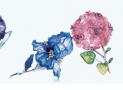 蒂芙尼花型胸針 - 蒂芙尼