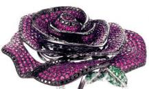 Chopard玫瑰胸針 - 蕭邦