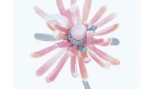 jewelry  accessories