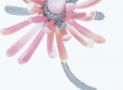 蒂芙尼tiffany菊花珍珠胸針 - 蒂芙尼