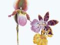 jewelry  accessories
