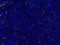 Van Cleef & Arpels 夜空流星胸針 - 梵克雅寶