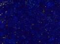 Van Cleef & Arpels 夜空流星胸針 - 梵克雅寶