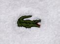 Lacoste 毛巾白護腕 - 鱷魚