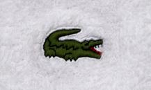 Lacoste 毛巾白護腕 - 鱷魚