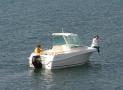 亞諾-MERRY FISHER 585 MARLIN