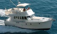 博納多-SWIFTTRAWLER44