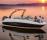 西瑞-240 SUNDECK OUTBOARD