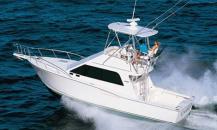 CABO-35FLYBRIDGE