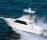 CABO-35FLYBRIDGE
