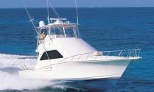 CABO-48FLYBRIDGE