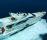 阿茲姆-AZIMUT75