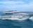 Yacht Product