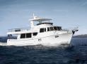 海上亞歷山大-60 TRAWLER