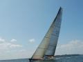 沃利-HIGHLAND FLING 82
