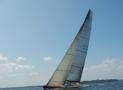 沃利-HIGHLAND FLING 82
