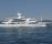 阿茲姆-BENETTI LADY LARA