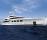 阿茲姆-BENETTI NATALY