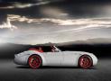 威茲曼Roadster MF5