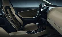 Luxury car