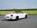 Le Mansory Convertible GTC