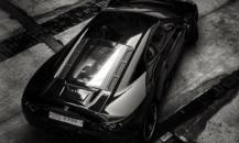 Proto Spirra
