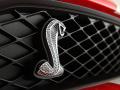 福特野馬Shelby GT500