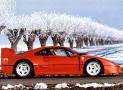 Luxury car