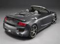 Luxury car