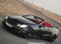 巴博斯E V12 Cabriolet