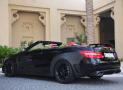 巴博斯E V12 Cabriolet