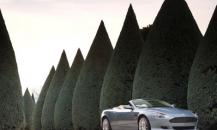 Luxury car