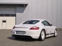 9ff保時捷Cayman CR 42