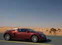 布加迪威龍VEYRON 16.4