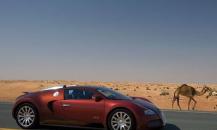 布加迪威龍VEYRON 16.4